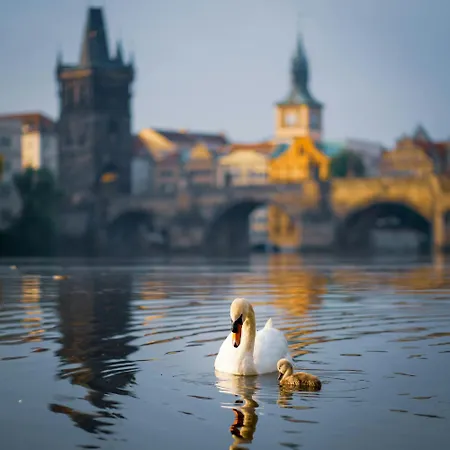 Quiet G3 Near The Castle Prag